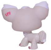 #1199 Chihuahua